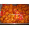 Fob Shenzhen Nanfeng Baby Mandarin